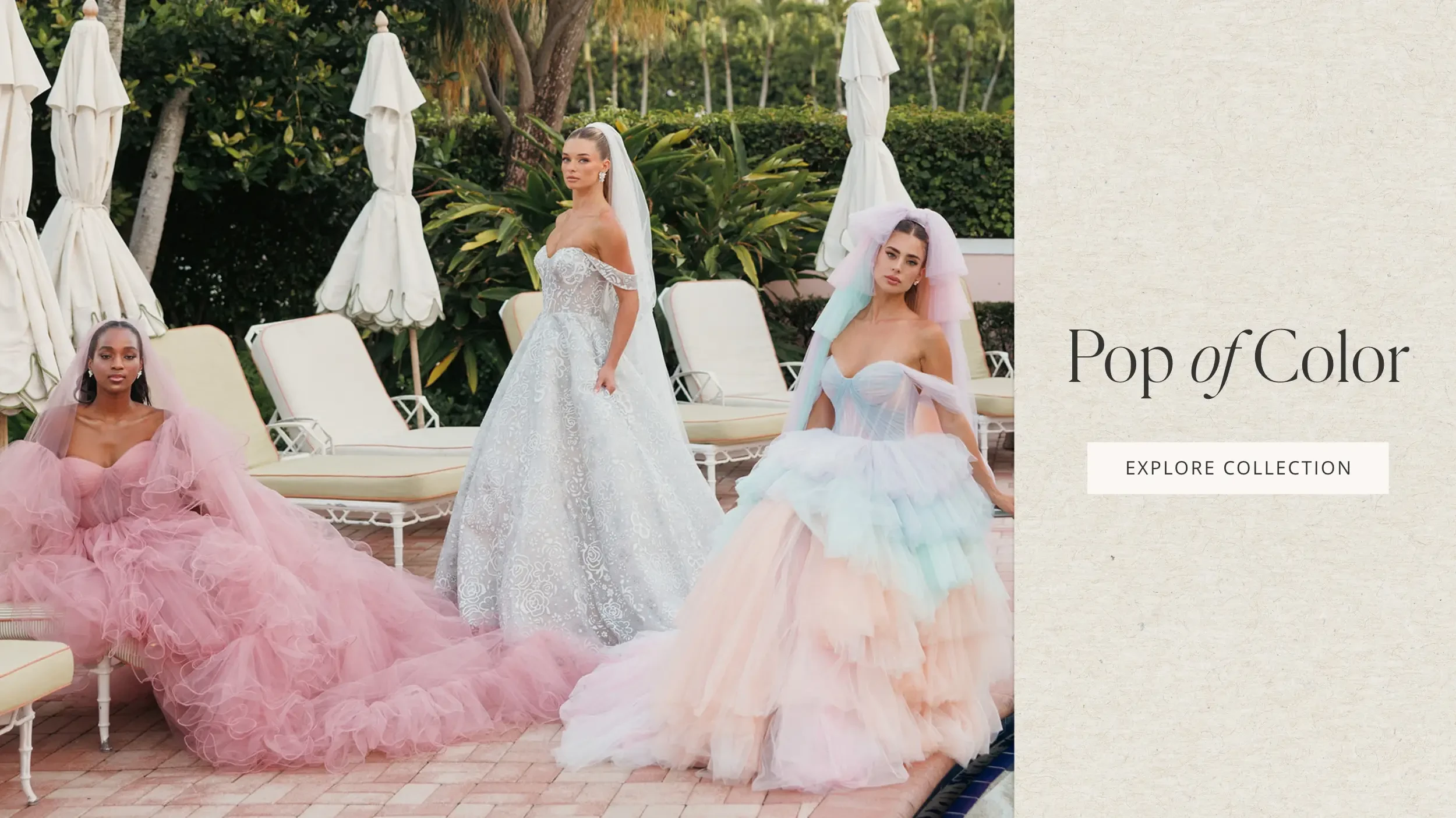 Pop of Color Hero Banner